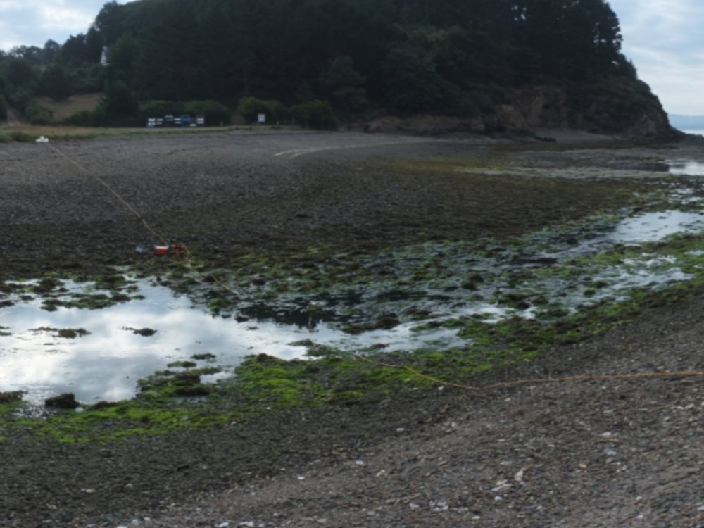 Imagerie électrique d'un bras de mer avant forage dirigé